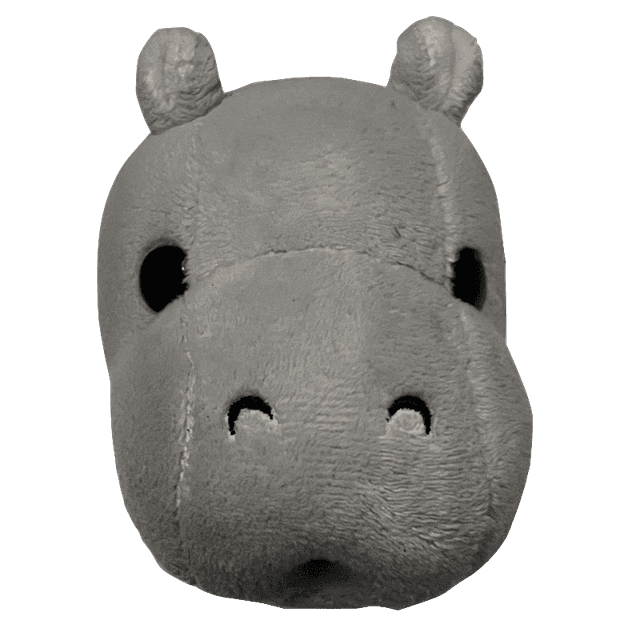 hippo